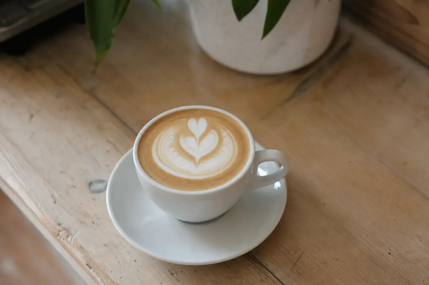 A flat white with thin glossy microfoam and tulip latte art