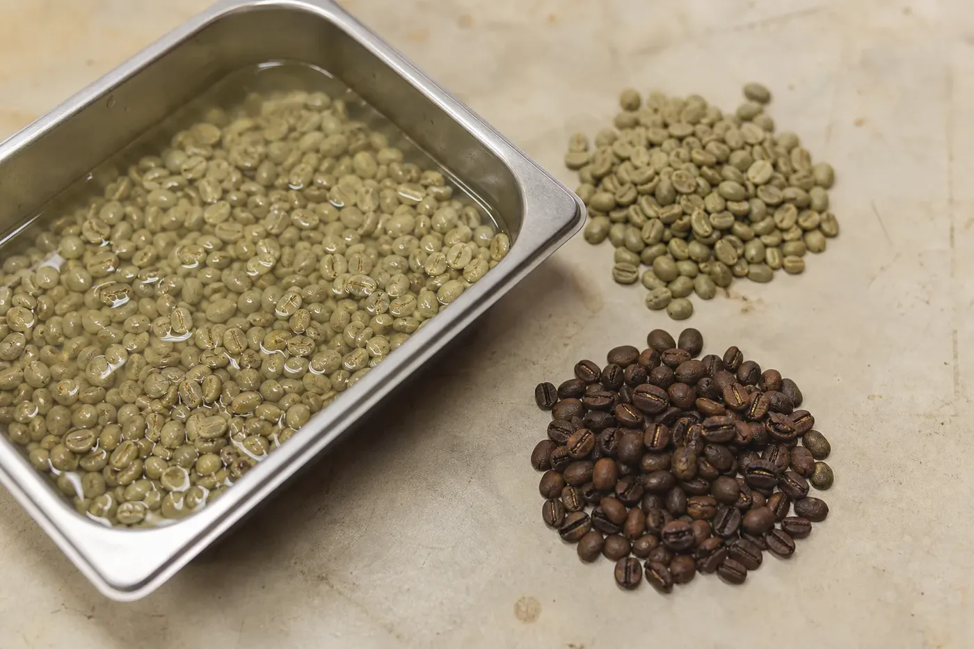 Green coffee beans soaking in water beside dry green and roasted beans