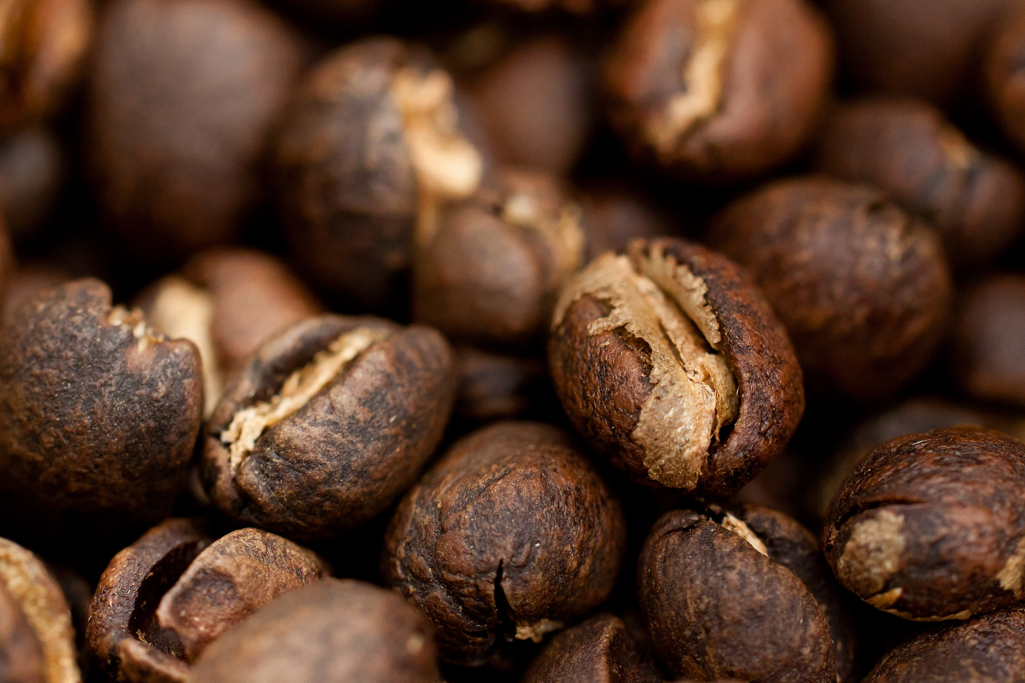 What is Peaberry Coffee? The Peculiar Bean - The Coffee Guru