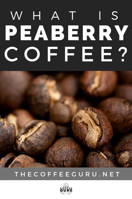 WHAT IS PEABERRY COFFEE