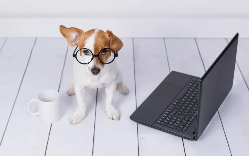 A dog wearing glasses with a coffee mug and laptop
