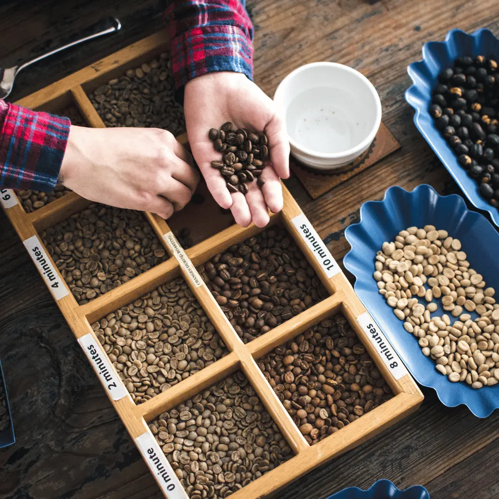 Man sorting through different types of coffee roasts