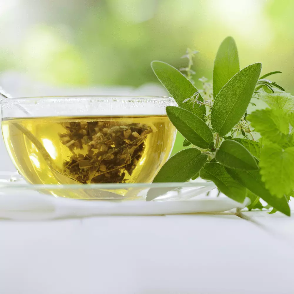 a cup of herbal tea with fresh herbal leaves