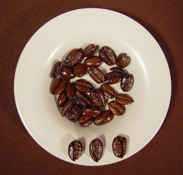 liberica coffee bean displaying a hooked appearance