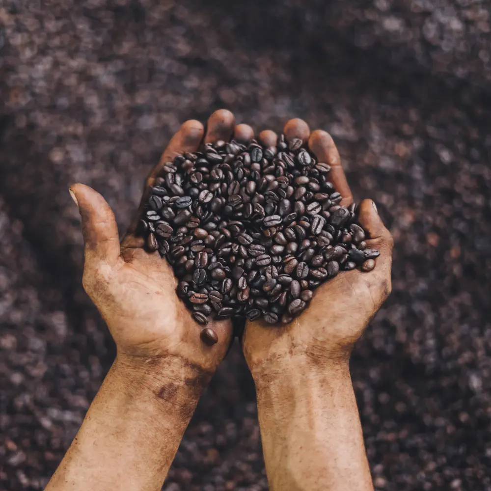 man holding dark roast beans