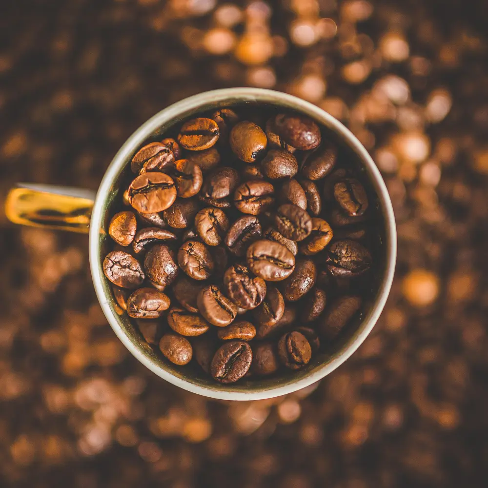 top view of coffee beans in a cup