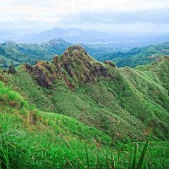 Barako Coffee: A Comprehensive Guide to the Philippines' Brew