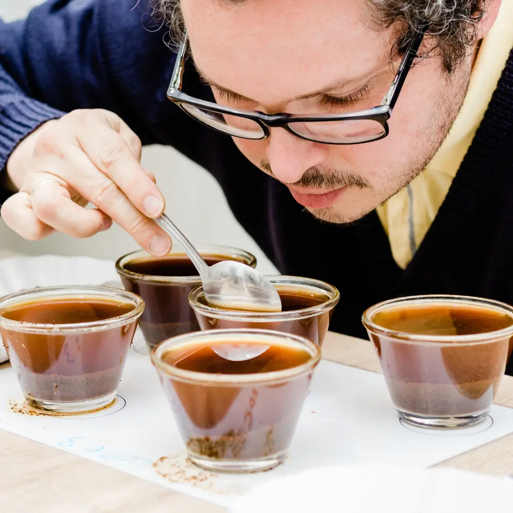 https://thecoffeeguru.net/storage/2023/05/Coffee-Cupping-and-the-Future-of-Specialty-Coffee.webp