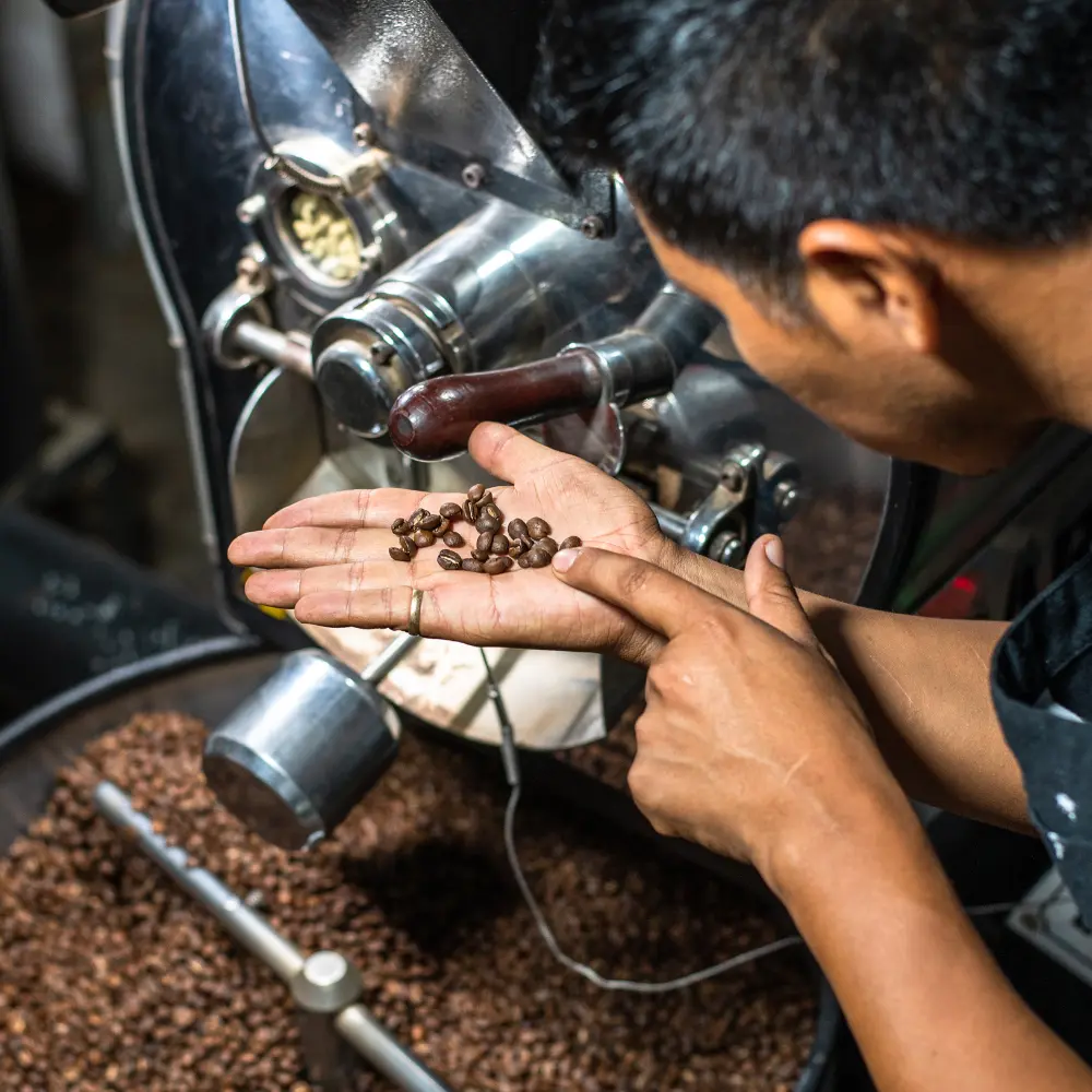 man holding and inspecting freshly roasted coffee beans