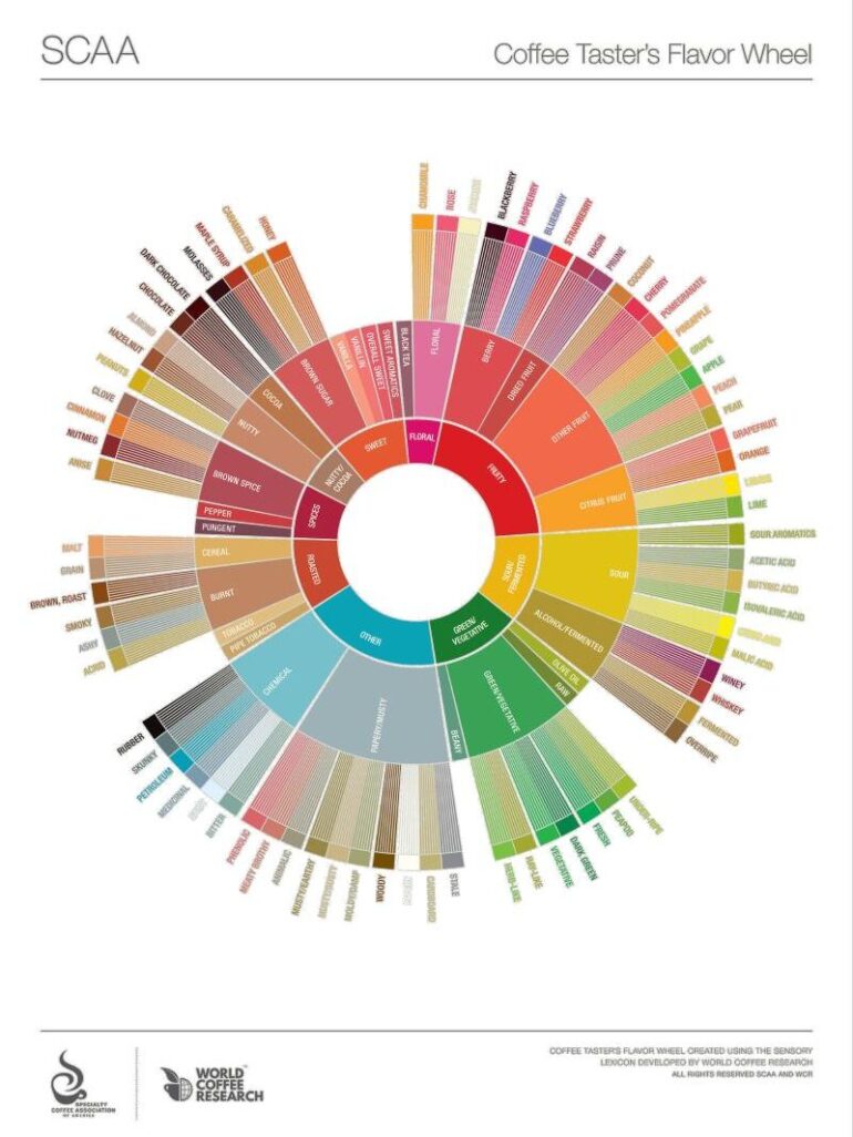 Coffee Cupping: Unveiling the Secrets of Coffee Tasting and Quality