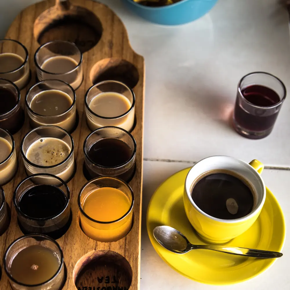 a coffee cupping experience with various types of coffee