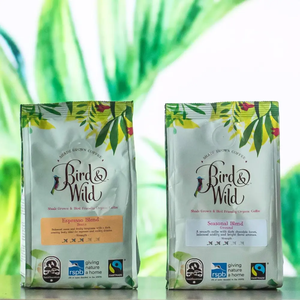 fly high with bird and wild