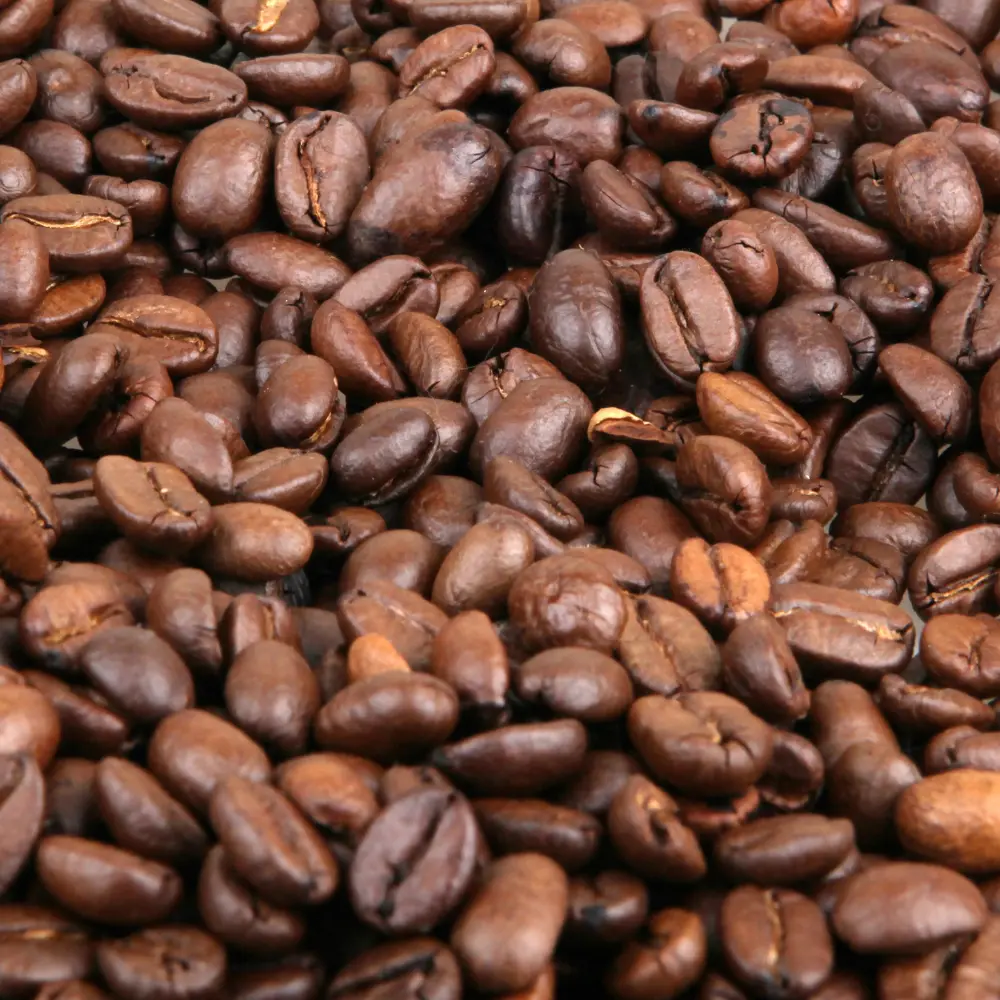 freshly medium roasted coffee beans