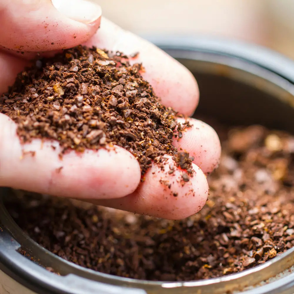 hand holding ground coffee beans