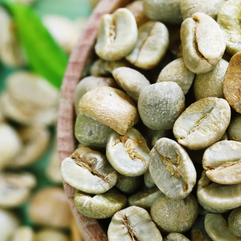 unroasted sl28 arabica coffee beans