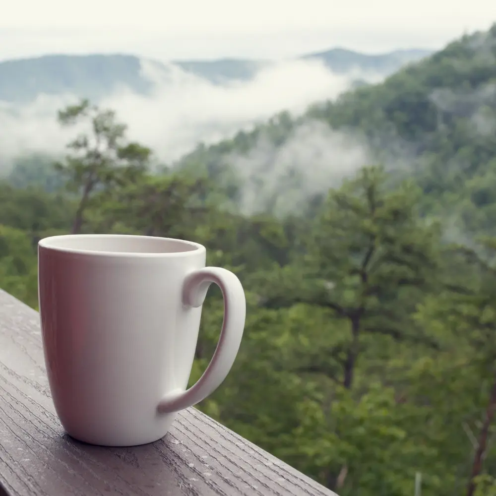 white cup with an Ethiopian landscape in the distance