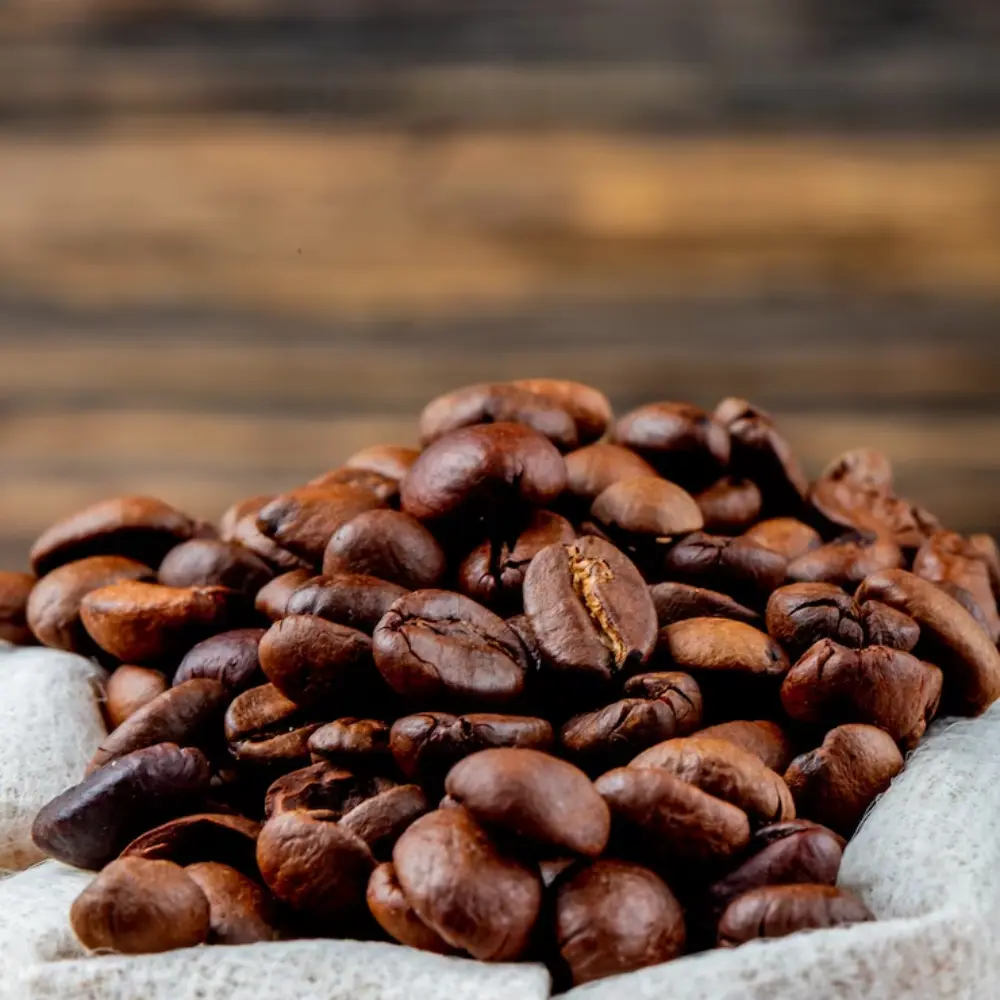 pacamara and maragogipe beans