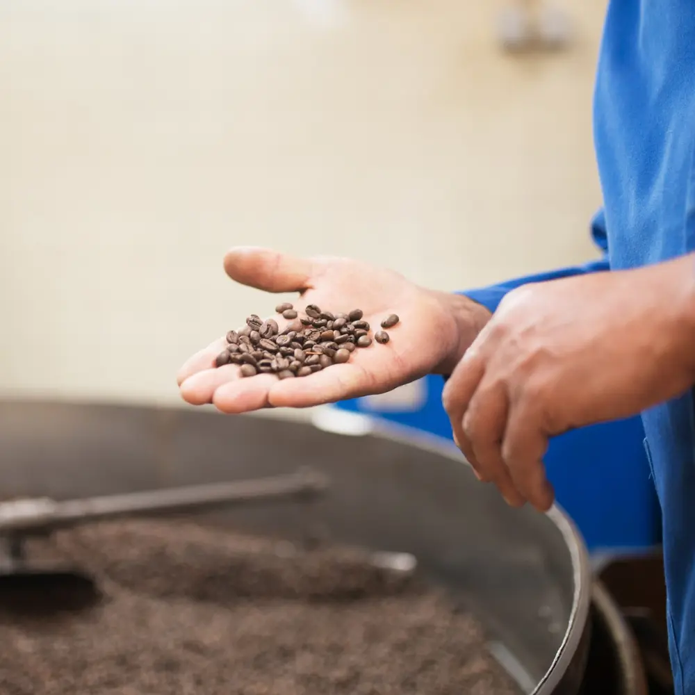 man holding freshly roasted coffee beans