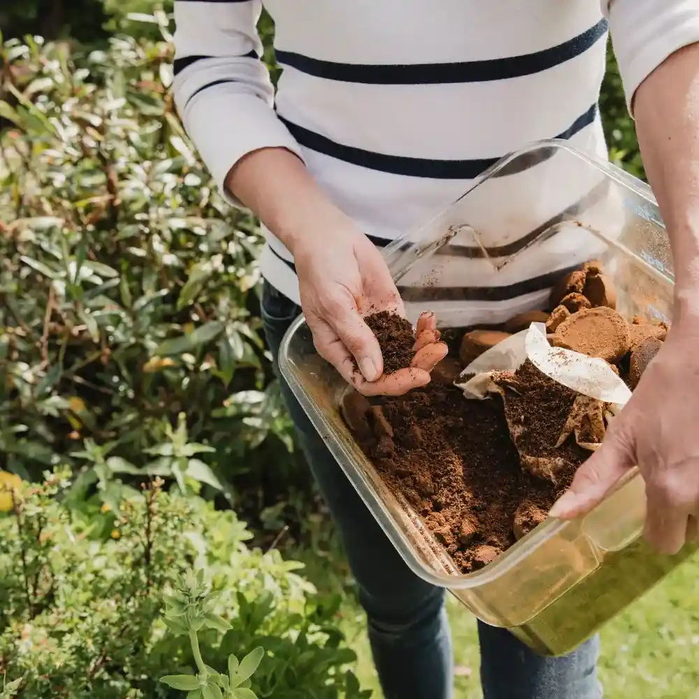 woman putting coffee grounds into her garden