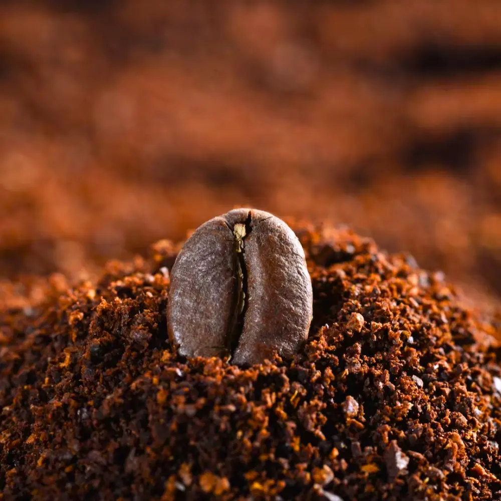 a coffee bean sitting in ground coffee