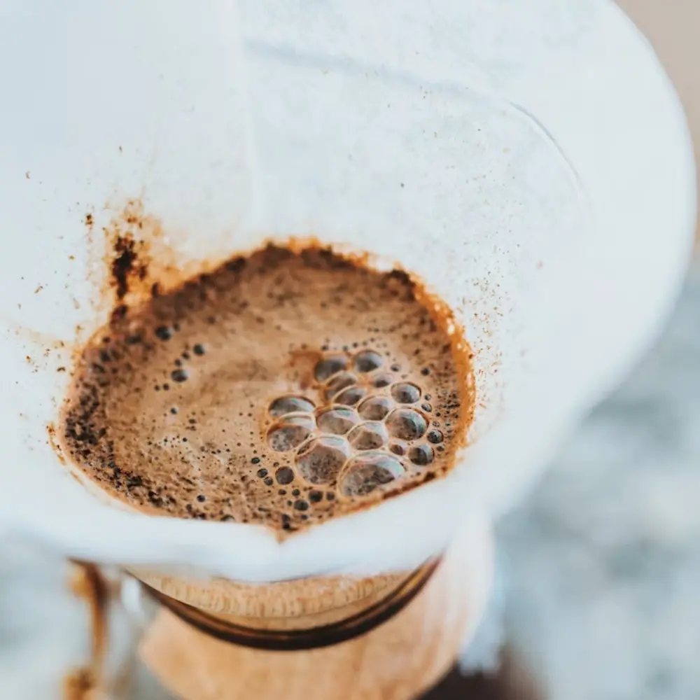 pour over coffee being bloomed with hot water