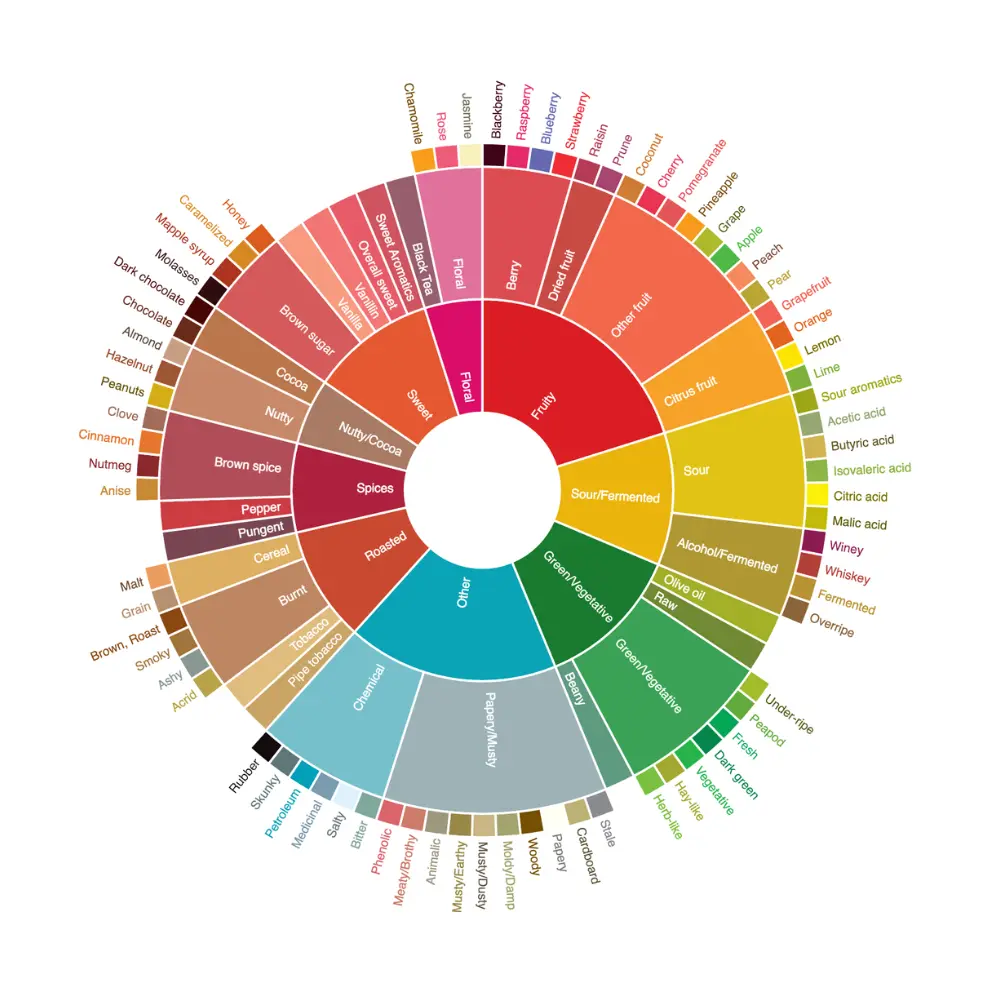 coffee flavor wheel
