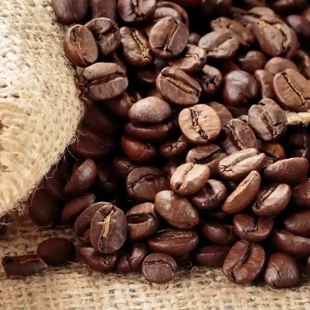 coffee beans in a sac