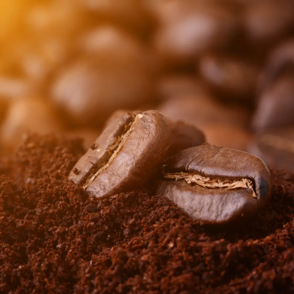 close up of coffee beans and ground coffee
