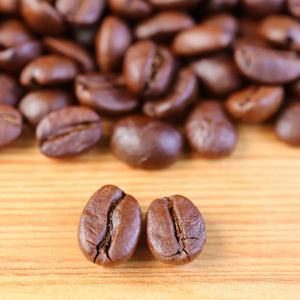 arabica vs robusta coffee