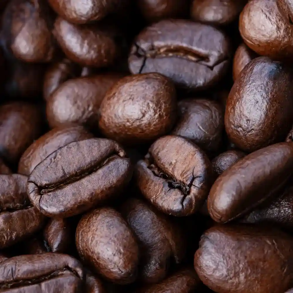 dark roast coffee beans close up