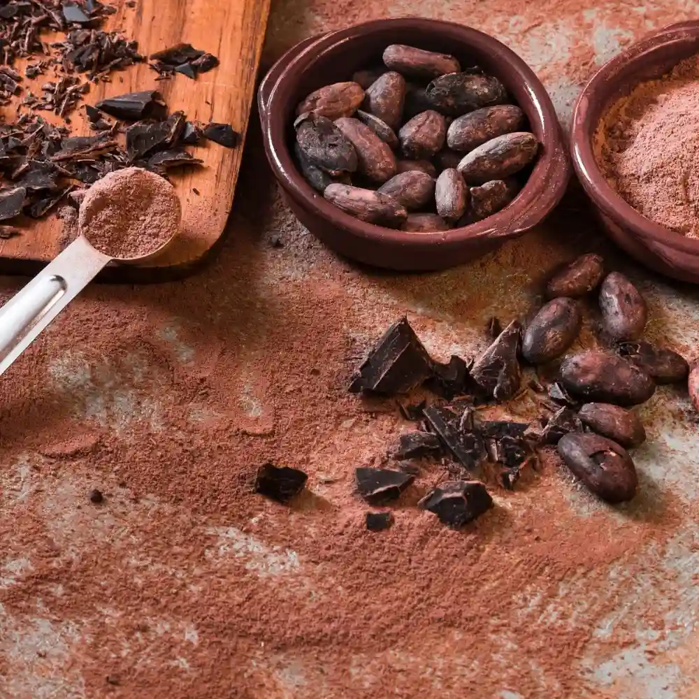 cacao powder with beans