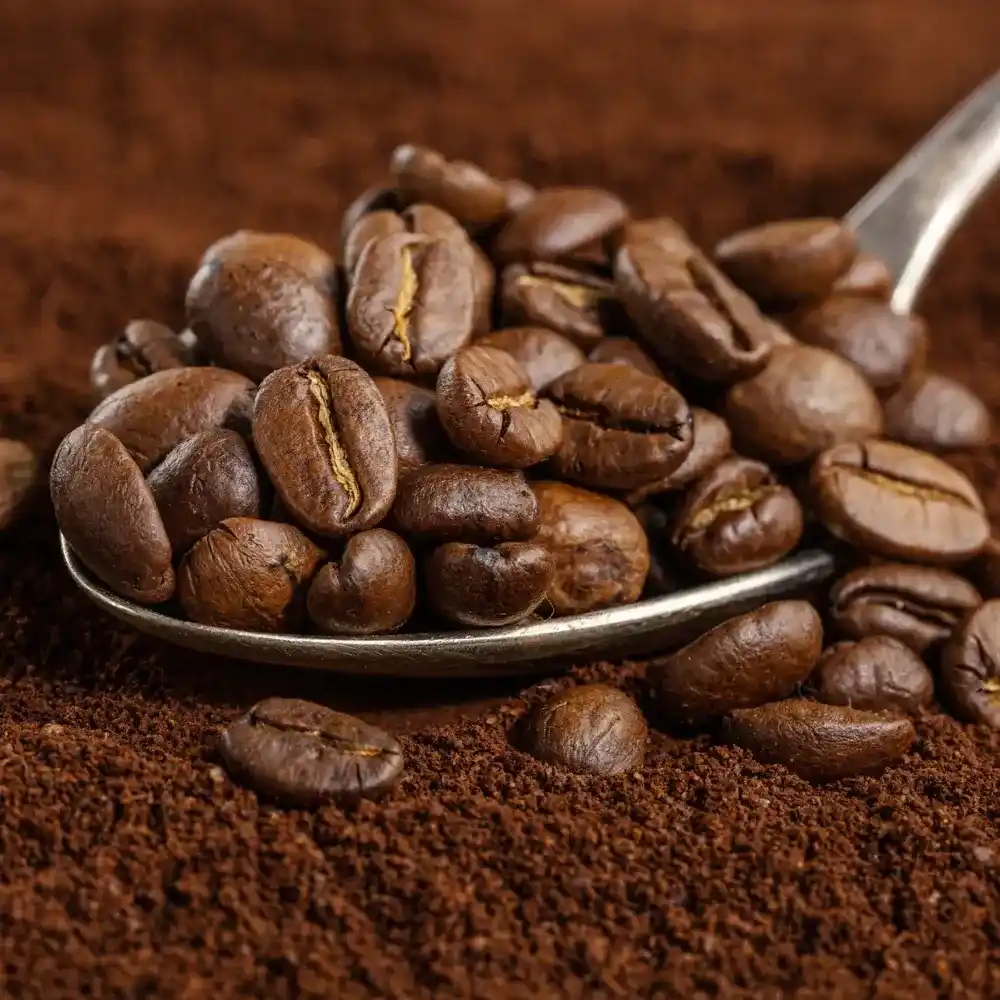a spoon of arabica coffee beans