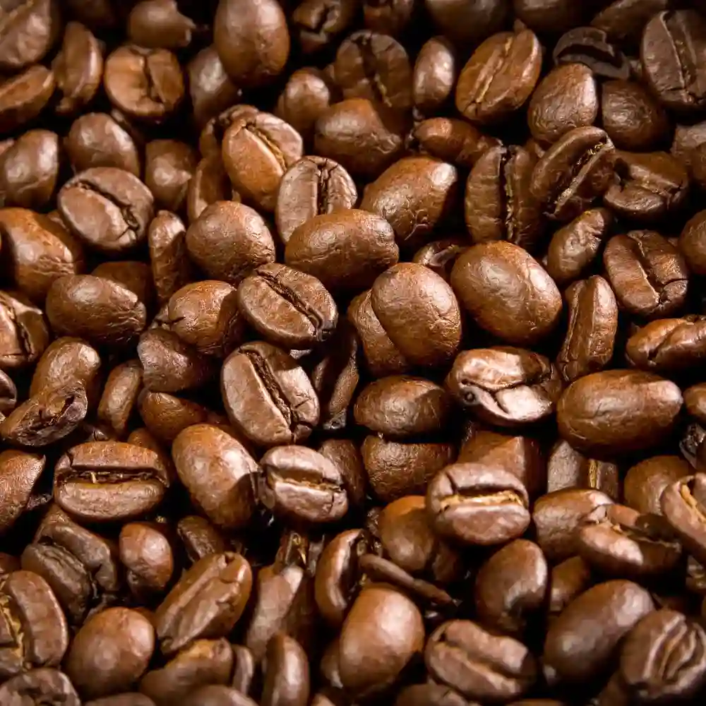 robusta beans
