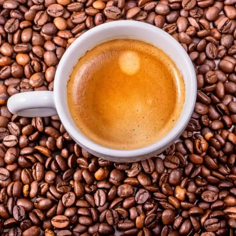 robusta beans with a cup