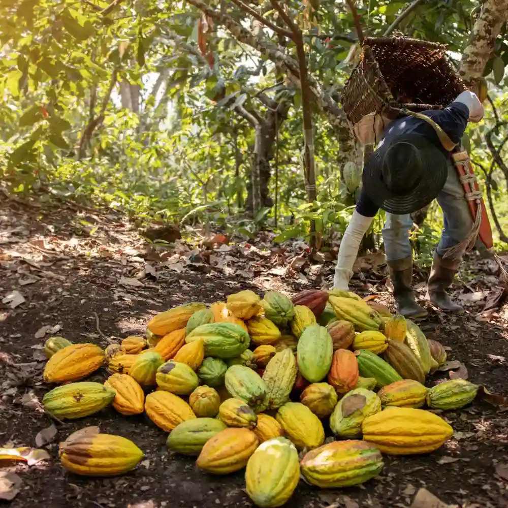 farmer working