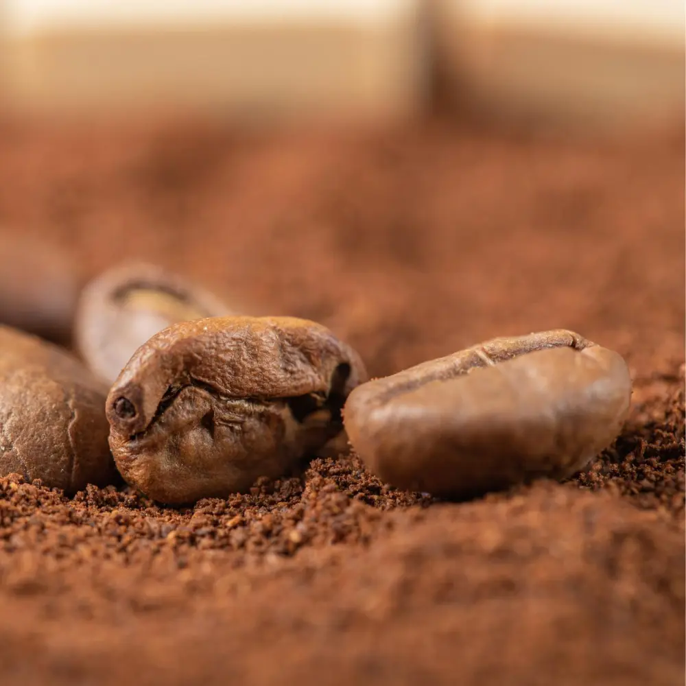 close up of coffee beans