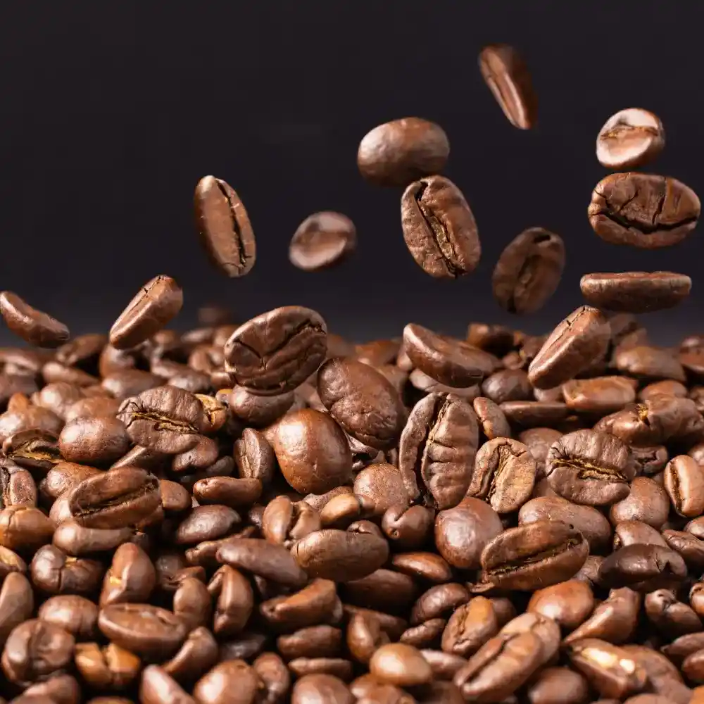 freshly roasted coffee beans