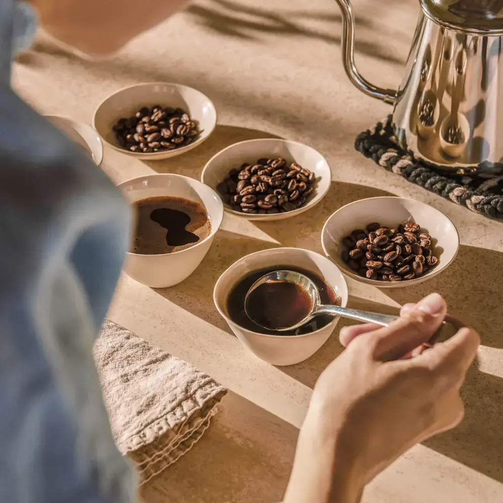 person coffee cupping