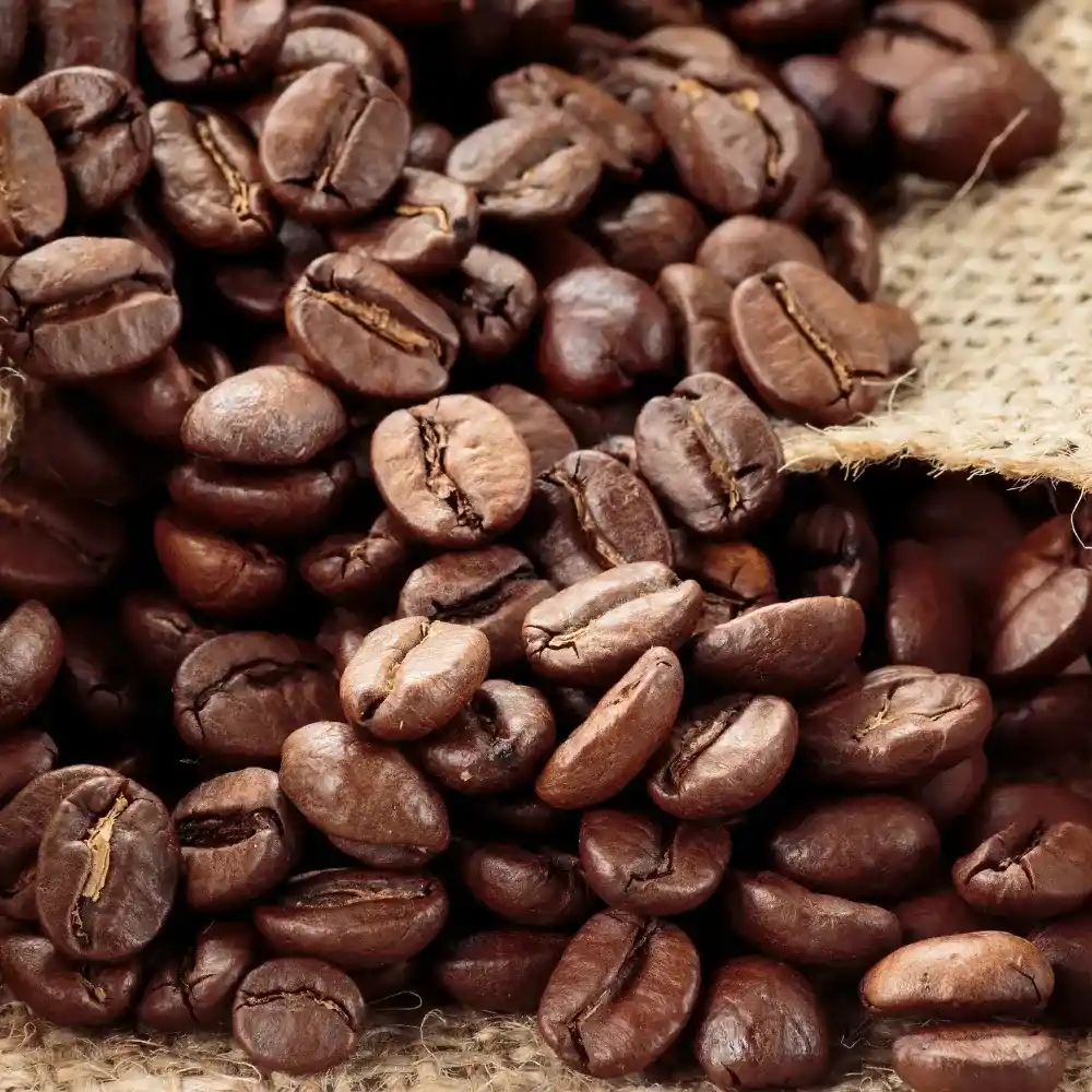 freshly roasted beans