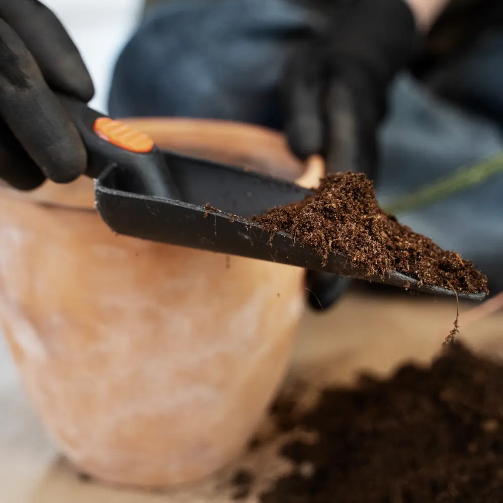 adding used coffee grounds to the garden