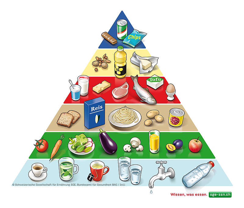 food pyramid