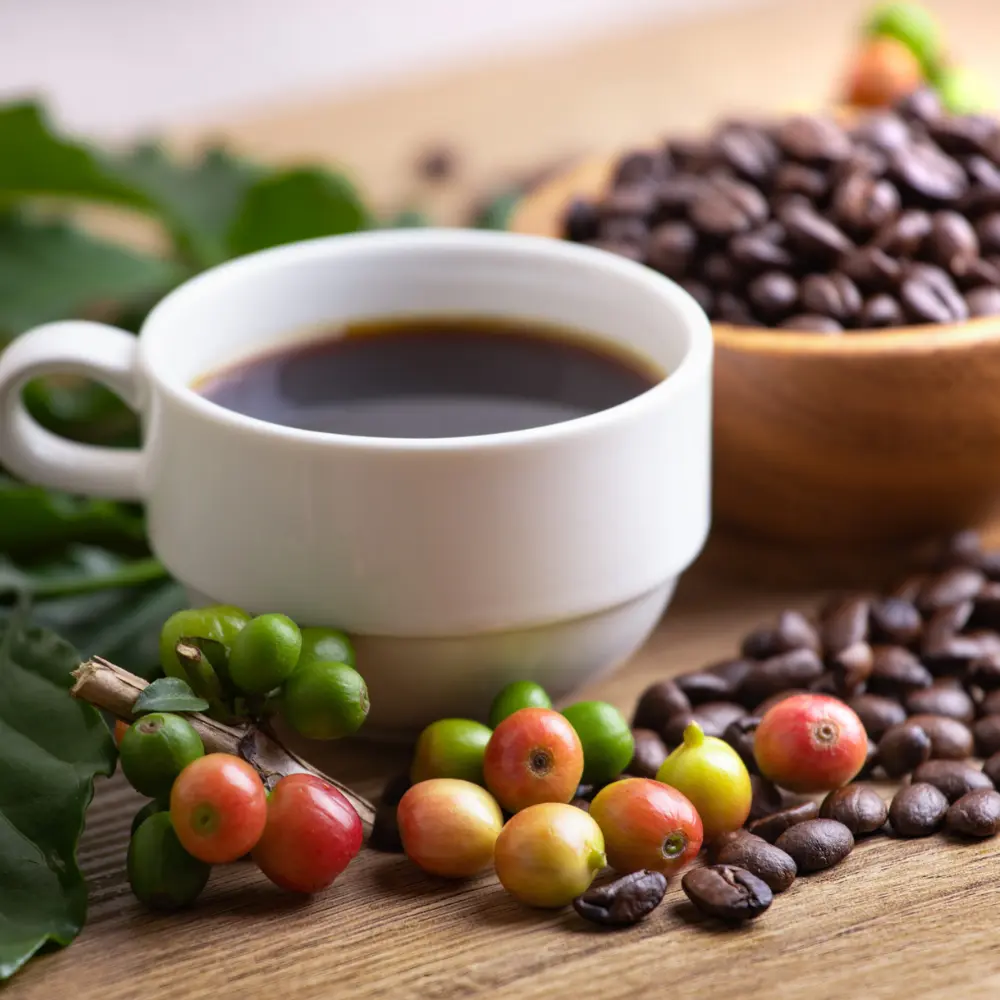 a cup of coffee next to beans and coffee cherries