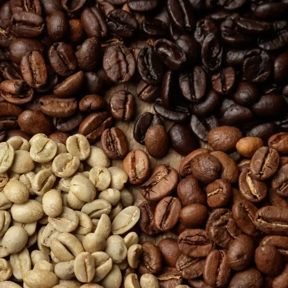 various coffee roasts