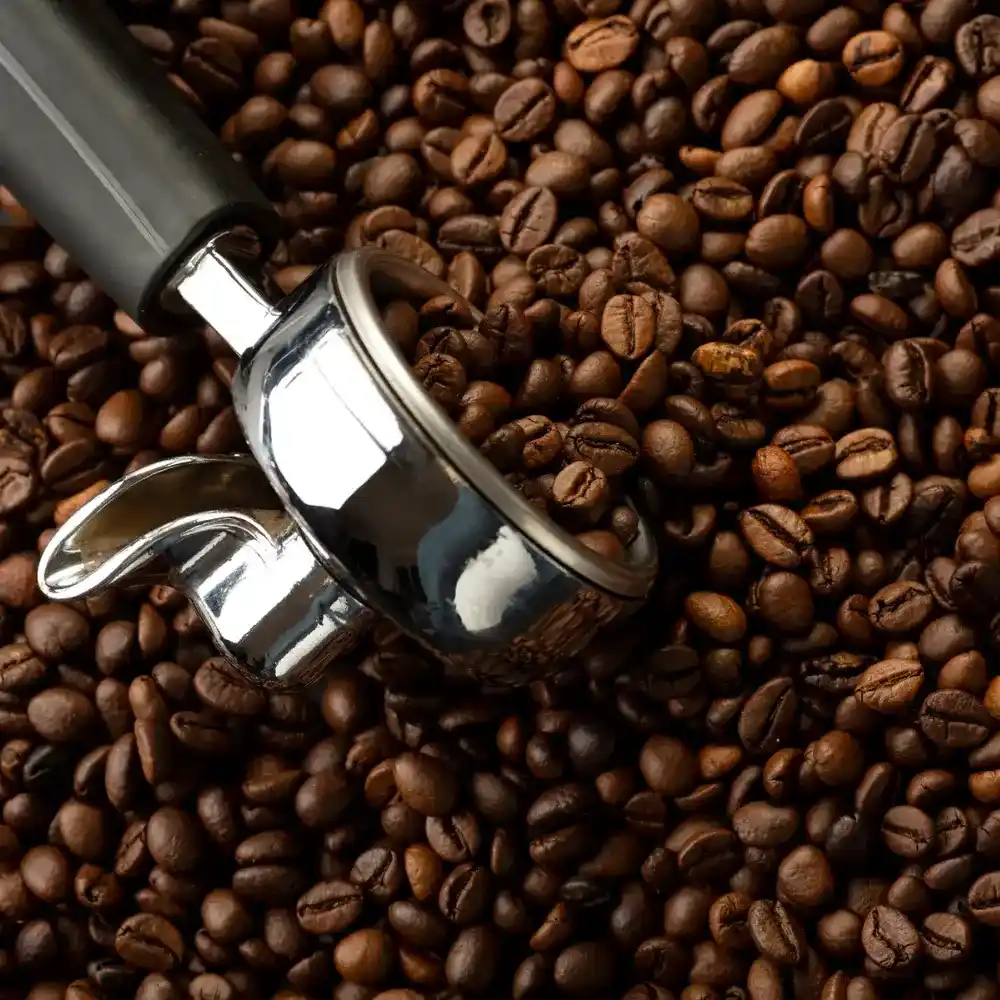 portafilter with coffee beans