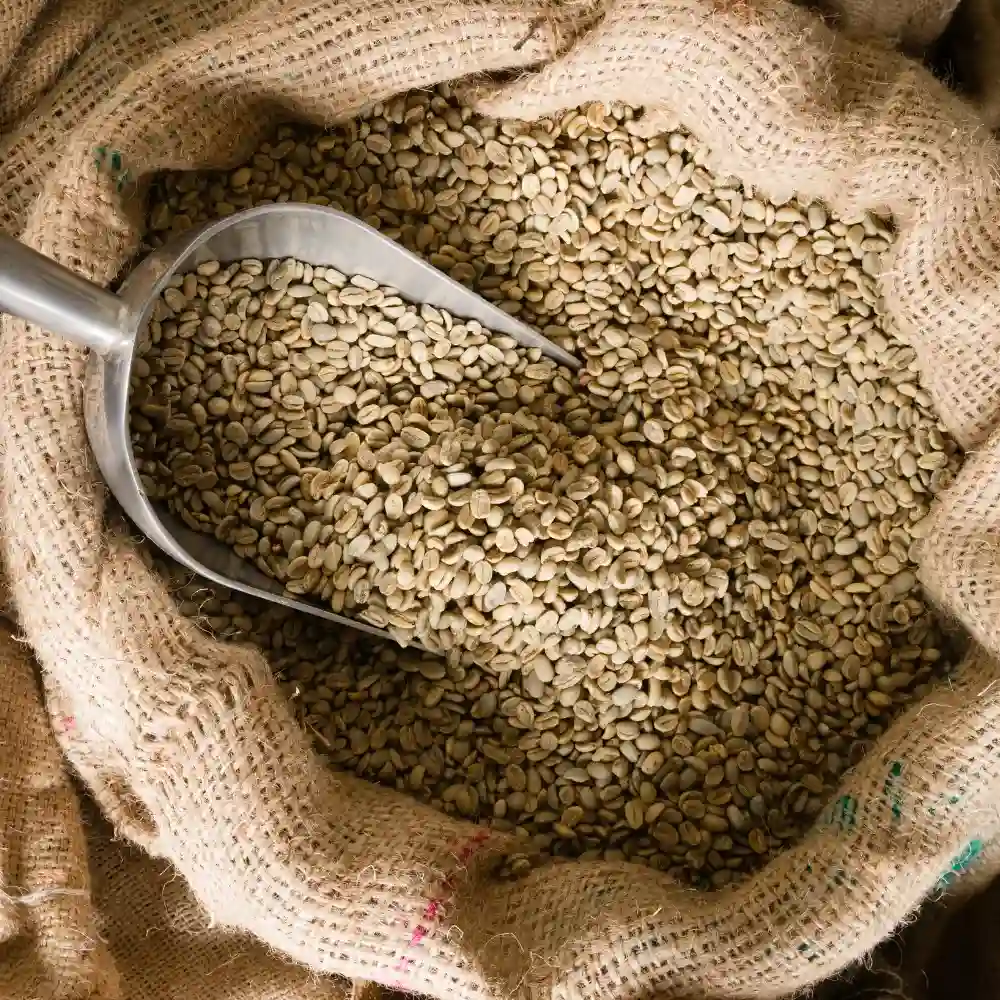 jimm coffee unroasted