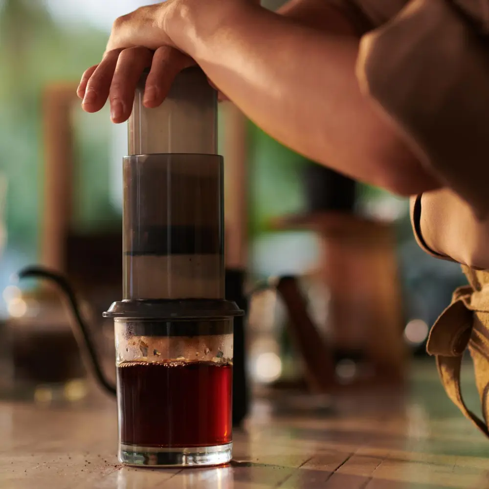 barista brewing aeropress coffee
