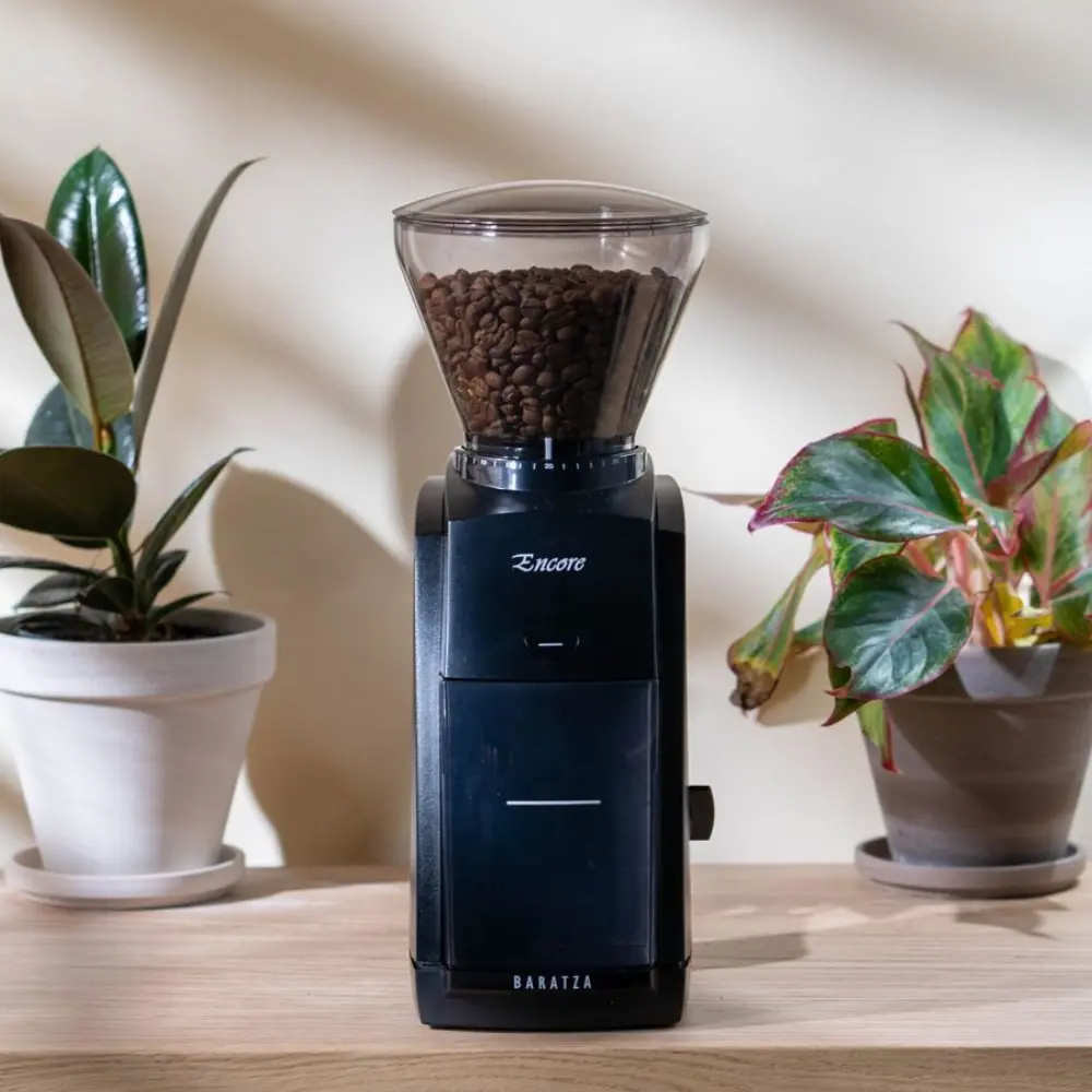 a burr coffee grinde