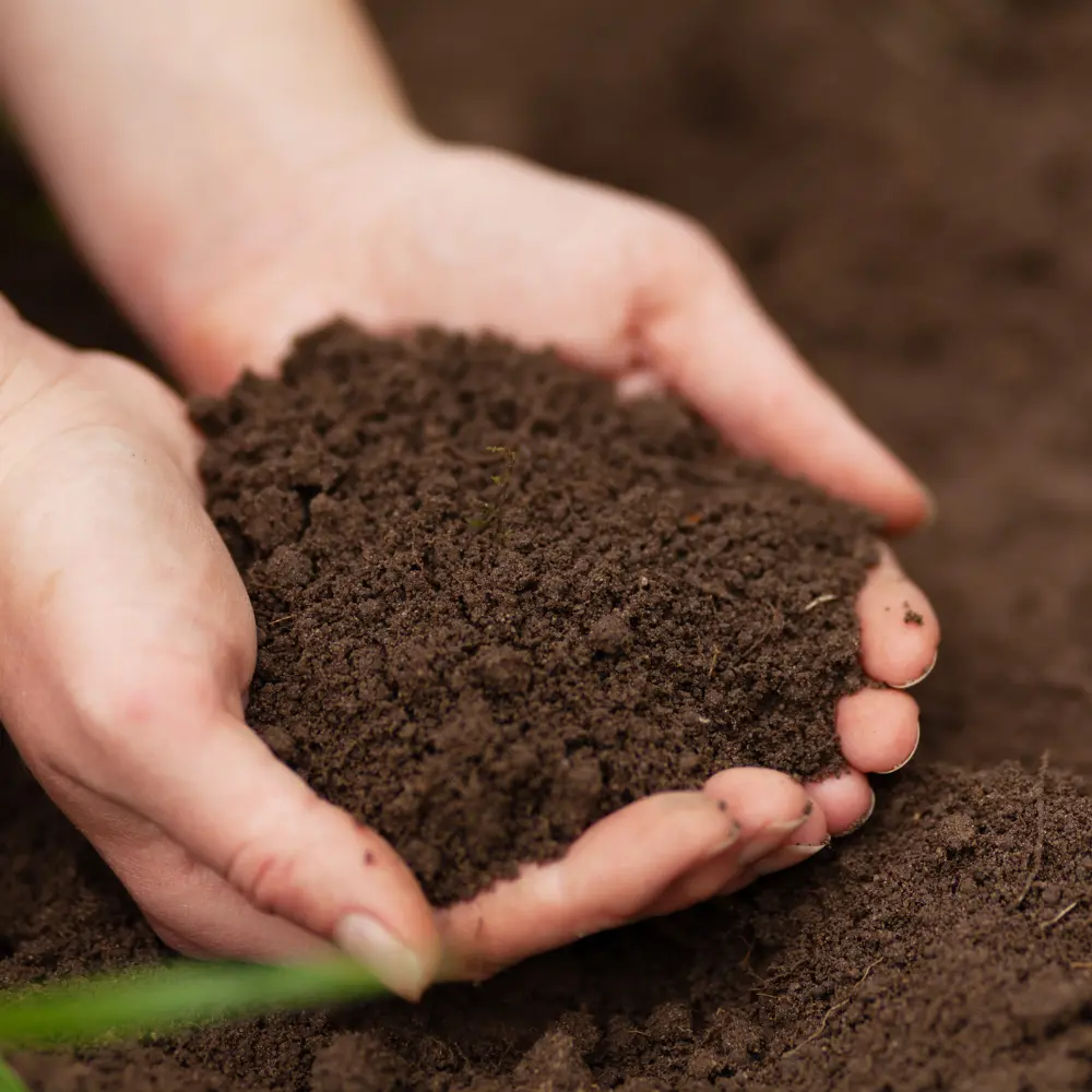 hands holding soil