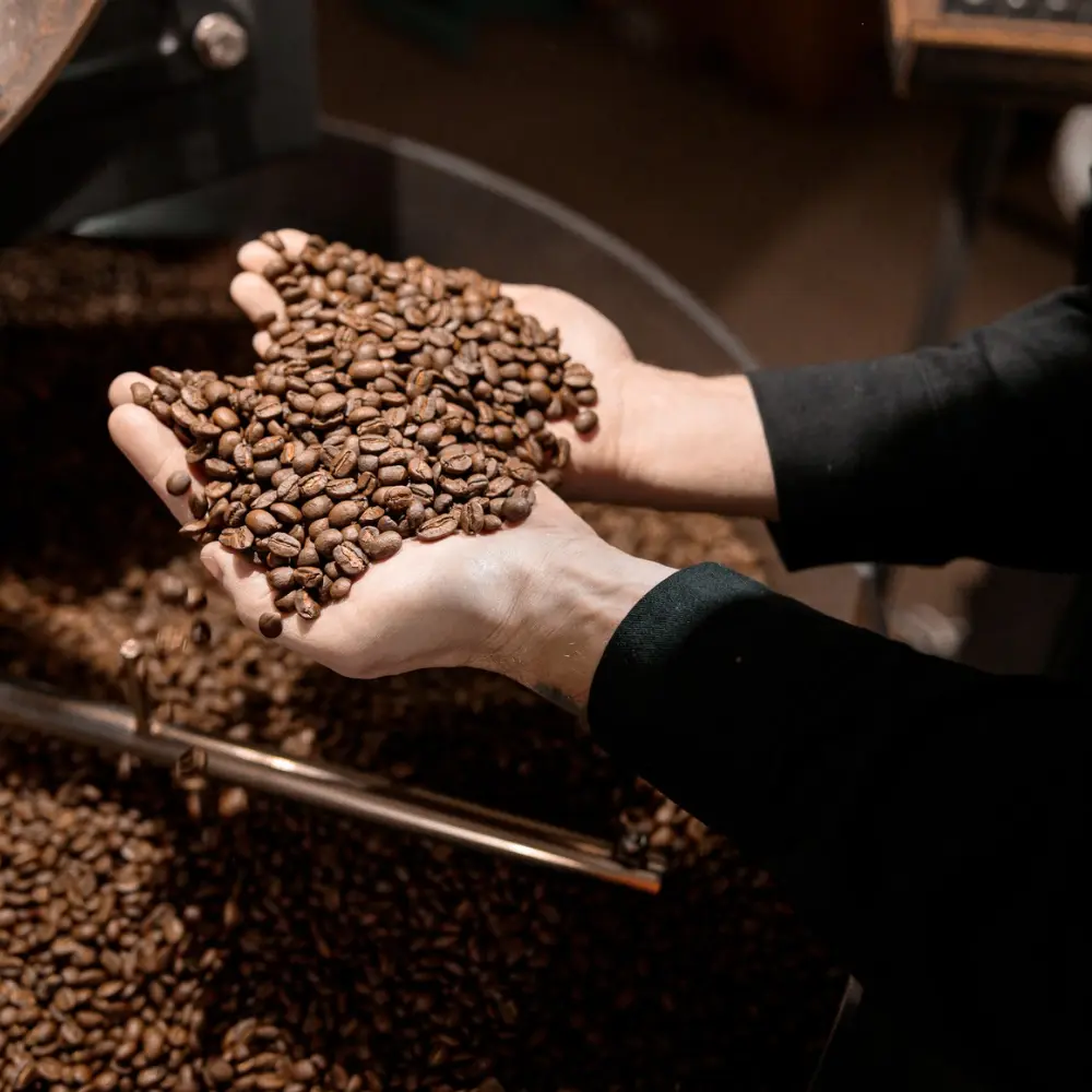 holding medium roast coffee beans