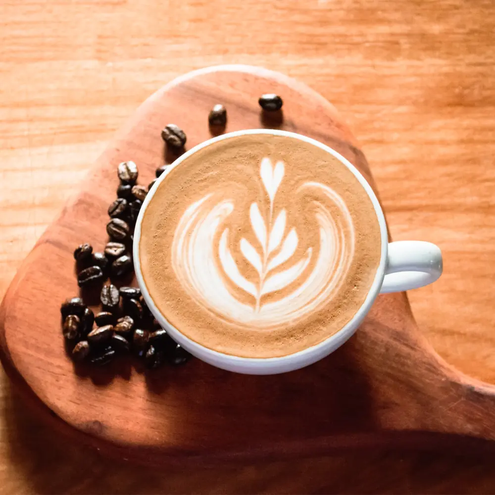 cappuccino drink with art